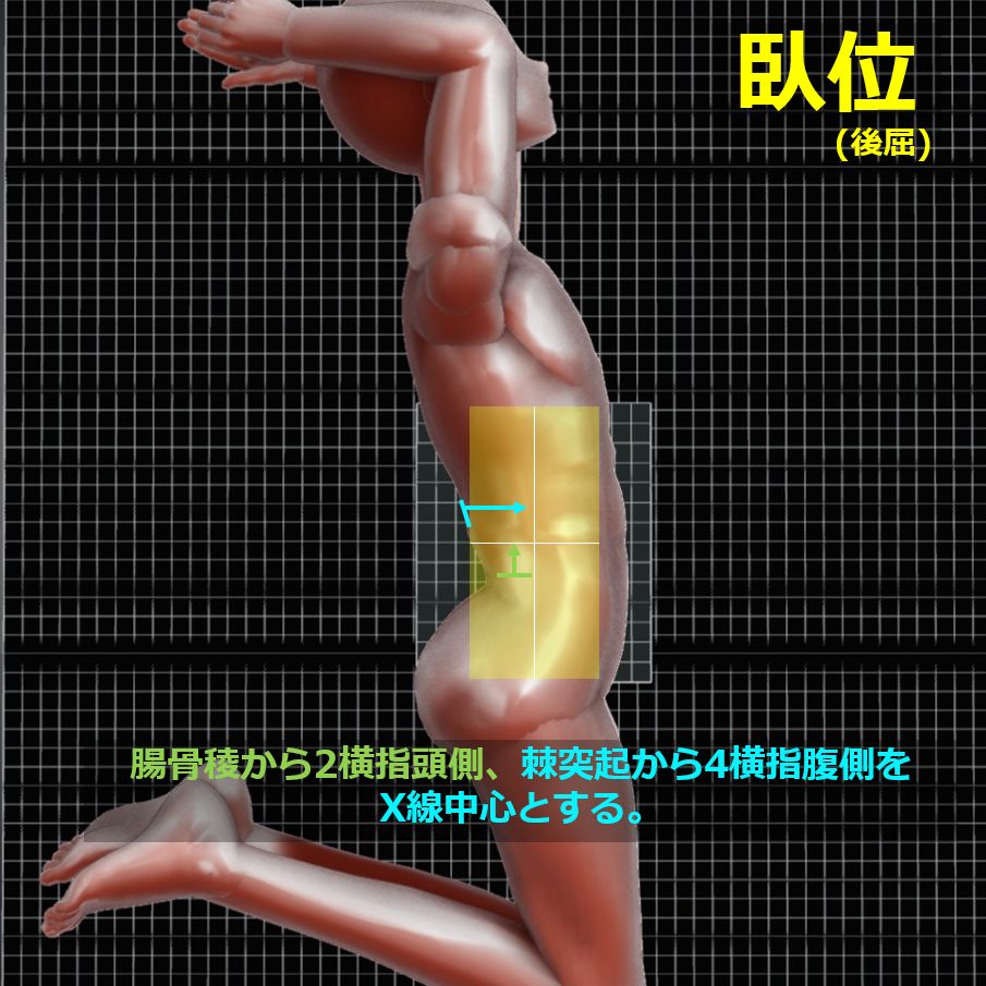 flexion_and_extension14