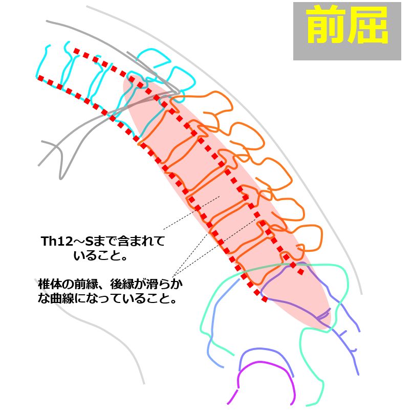 flexion_and_extension17