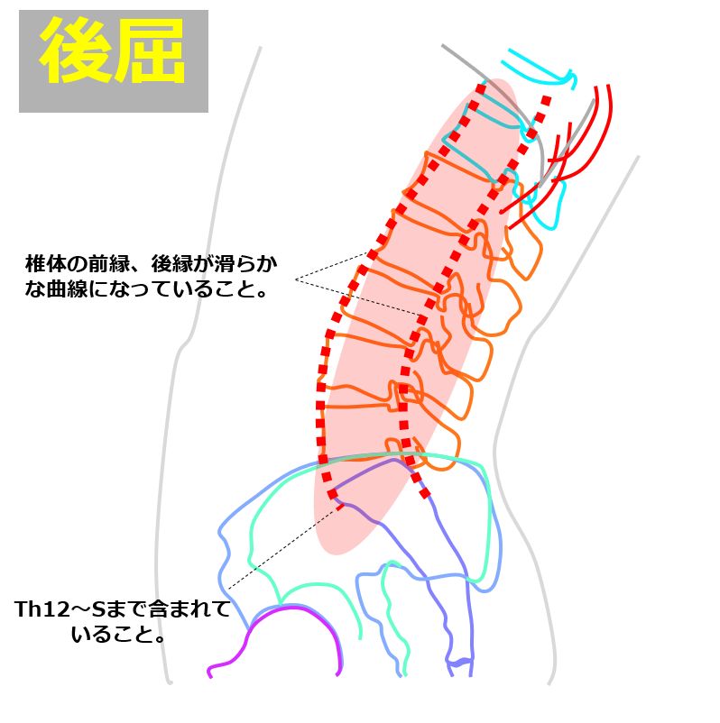 flexion_and_extension19