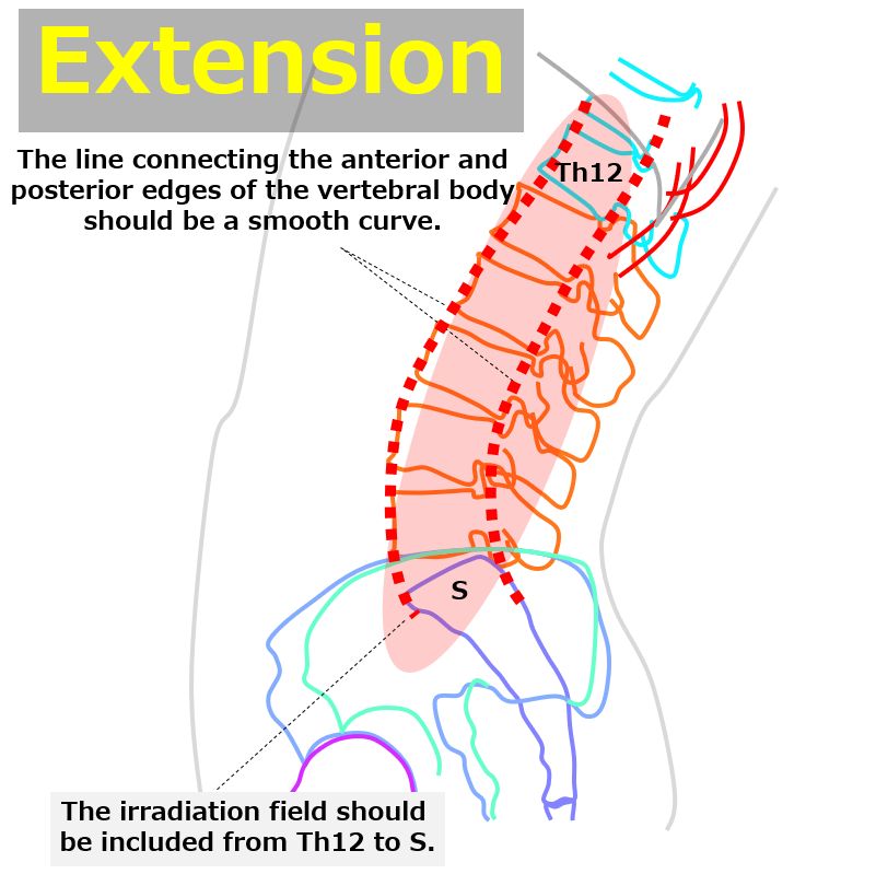 flexion_and_extension23