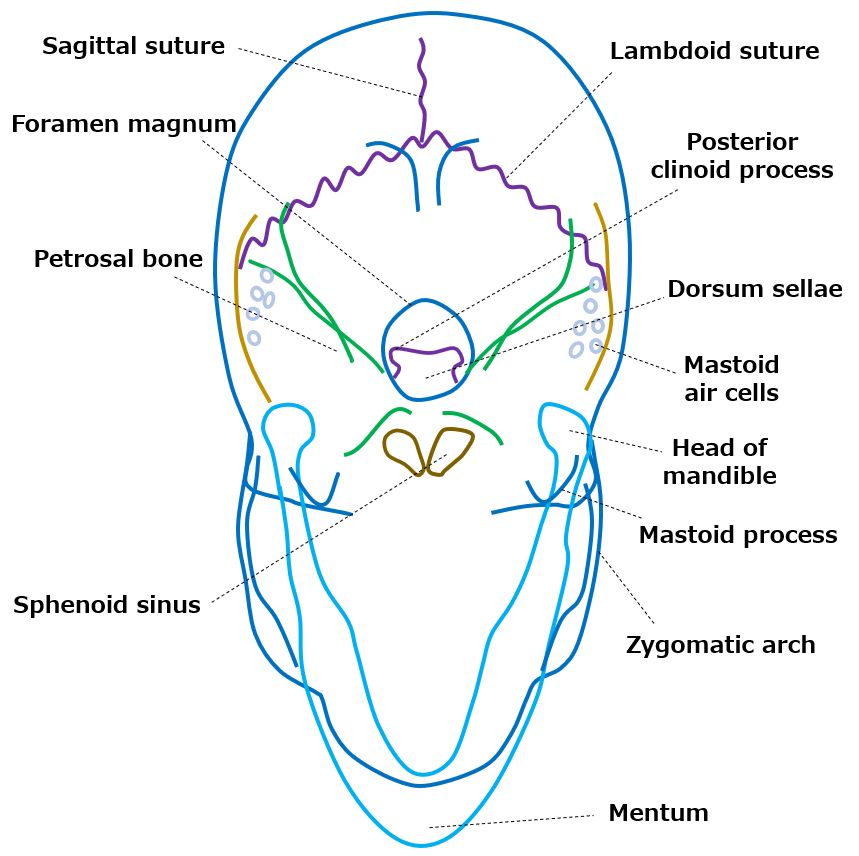 Towne View Tools For RadTech