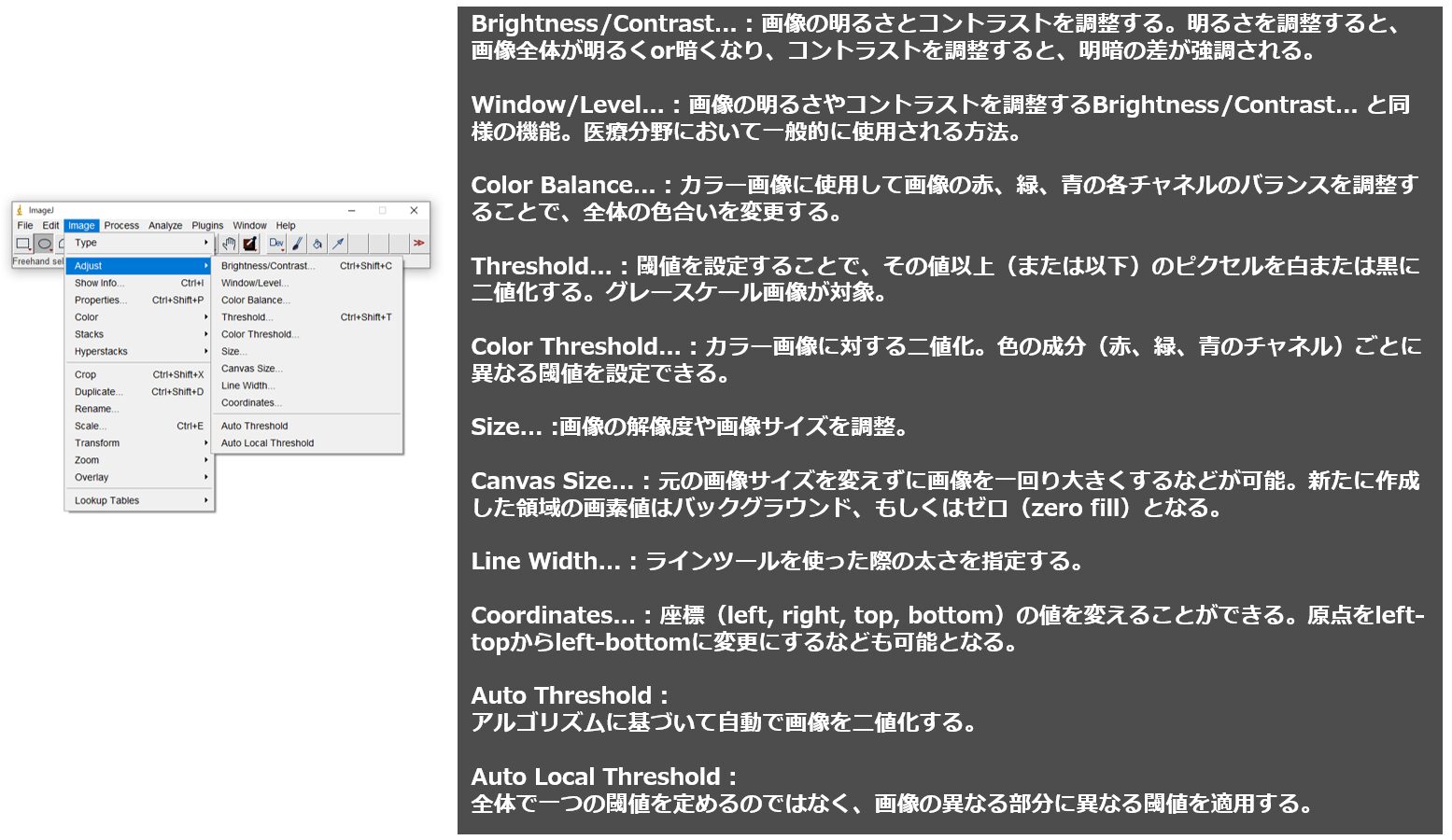 ImageJの使い方 3 ーImageメニュー編ー|Tools for RadTech