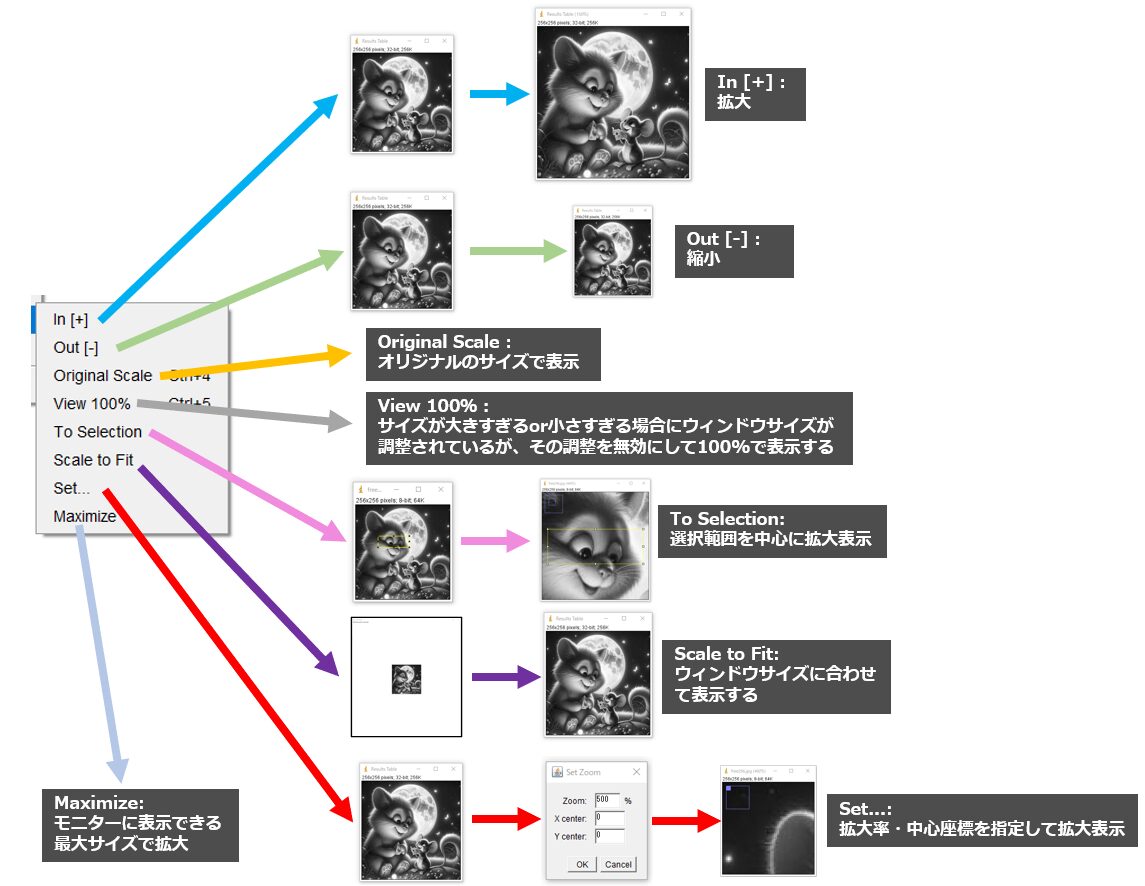 Imagej Tools ImageJの使い方 3 ーImageメニュー編ー|Tools for RadTech