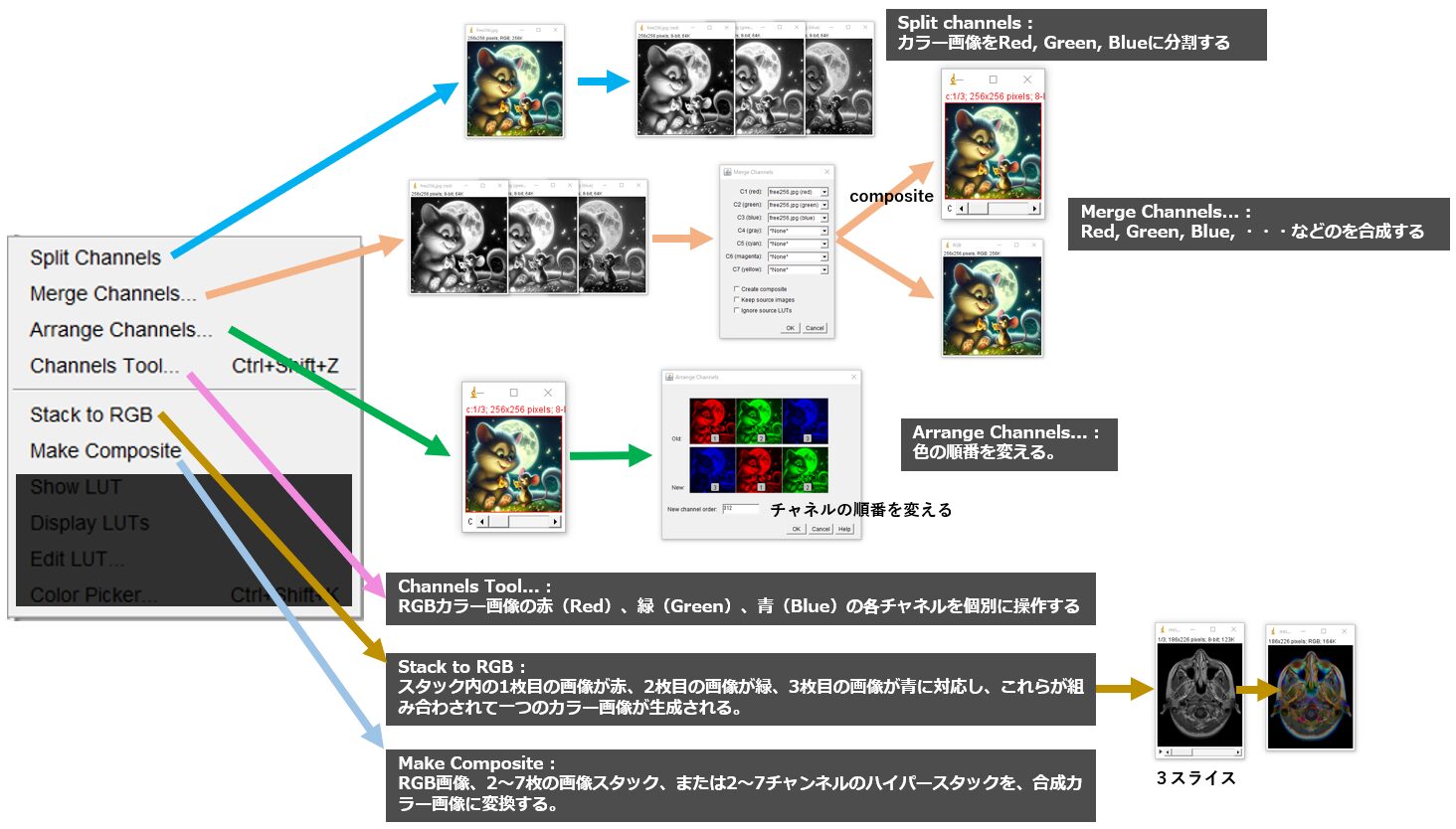 Imagej Tools ImageJの使い方 3 ーImageメニュー編ー|Tools for RadTech
