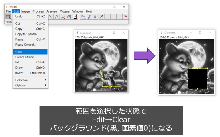 Imagej Tools ImageJの使い方 2 ーEditメニュー編ー|Tools for RadTech